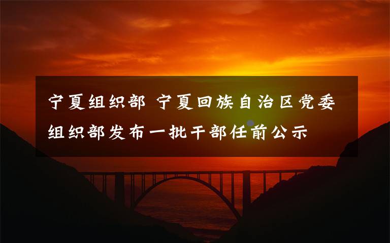 宁夏组织部 宁夏回族自治区党委组织部发布一批干部任前公示