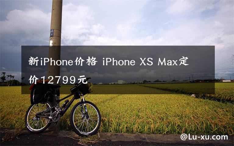 新iPhone价格 iPhone XS Max定价12799元