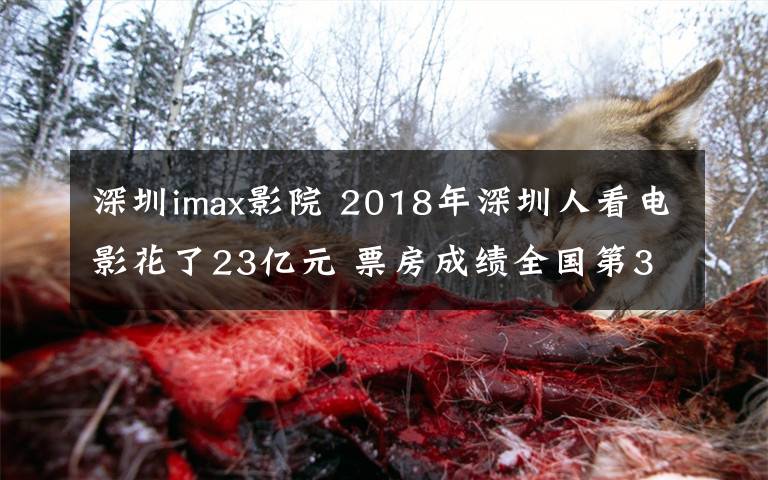 深圳imax影院 2018年深圳人看电影花了23亿元 票房成绩全国第3