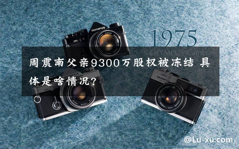 周震南父亲9300万股权被冻结 具体是啥情况?