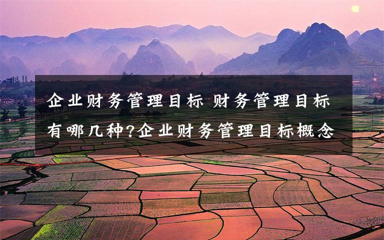 企业财务管理目标 财务管理目标有哪几种?企业财务管理目标概念文章配图