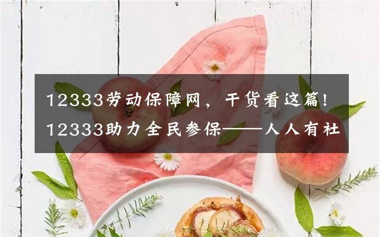 12333劳动保障网，干货看这篇!12333助力全民参保——人人有社保，生活更美好