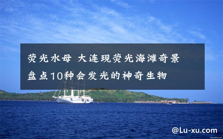 荧光水母 大连现荧光海滩奇景 盘点10种会发光的神奇生物