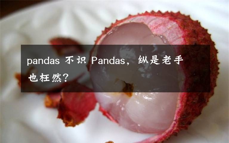 pandas 不识 Pandas，纵是老手也枉然？