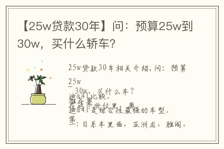 【25w贷款30年】问：预算25w到30w，买什么轿车？