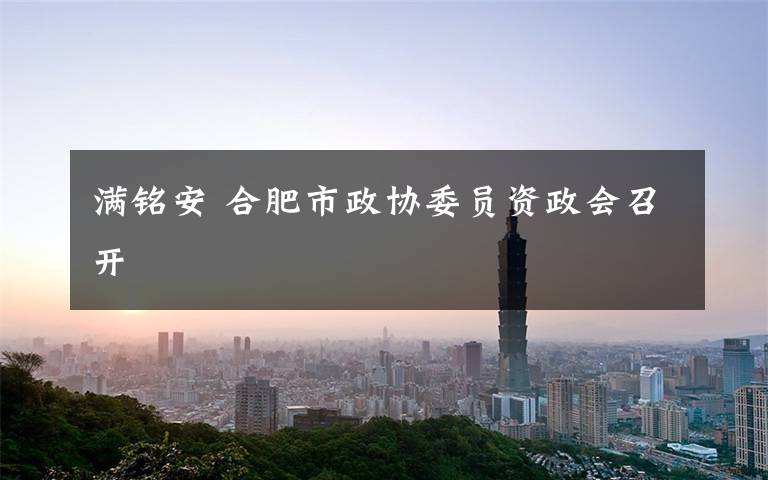 满铭安 合肥市政协委员资政会召开