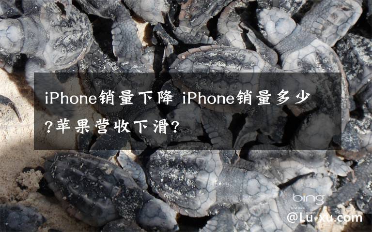 iPhone销量下降 iPhone销量多少?苹果营收下滑?