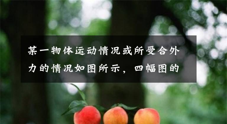 某一物体运动情况或所受合外力的情况如图所示，四幅图的图线都是直线，从图中可以判断这四个一定质量物体的某些运动特征．下列有关说法中正确的是A．甲物体受到不文章配图