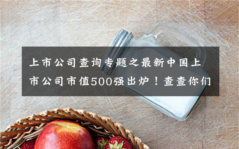 上市公司查询专题之最新中国上市公司市值500强出炉！查查你们那多了几家？