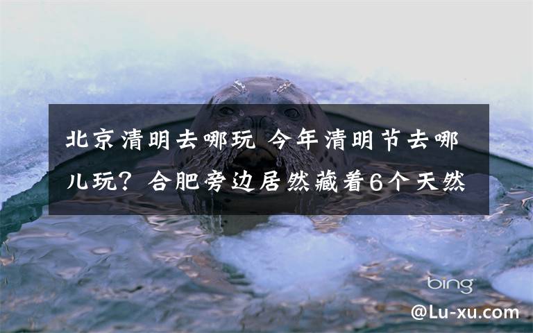 北京清明去哪玩 今年清明节去哪儿玩？合肥旁边居然藏着6个天然氧吧