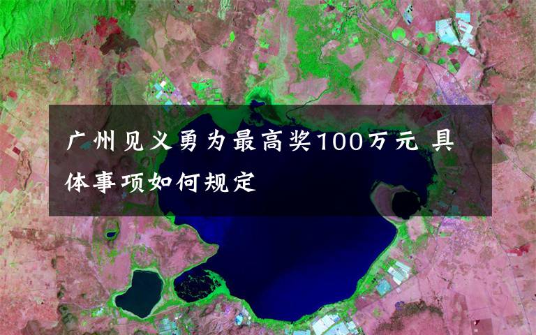 广州见义勇为最高奖100万元 具体事项如何规定