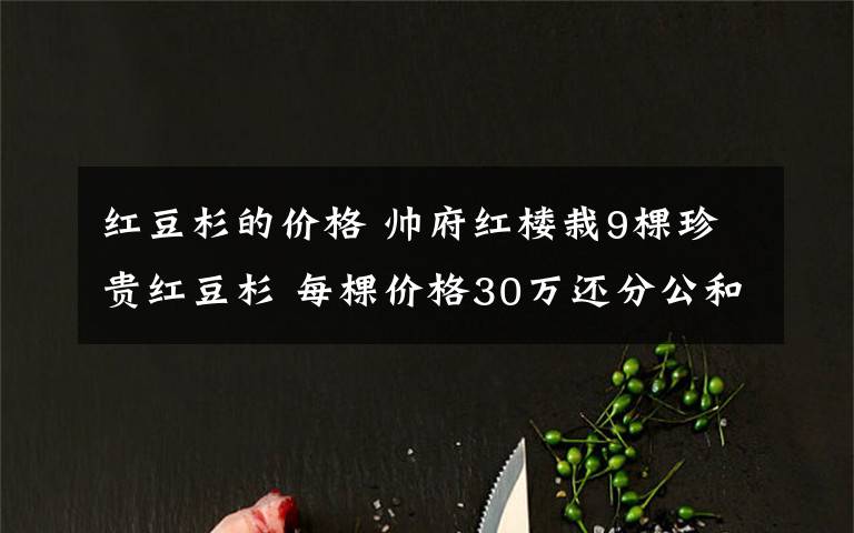 红豆杉的价格 帅府红楼栽9棵珍贵红豆杉 每棵价格30万还分公和母