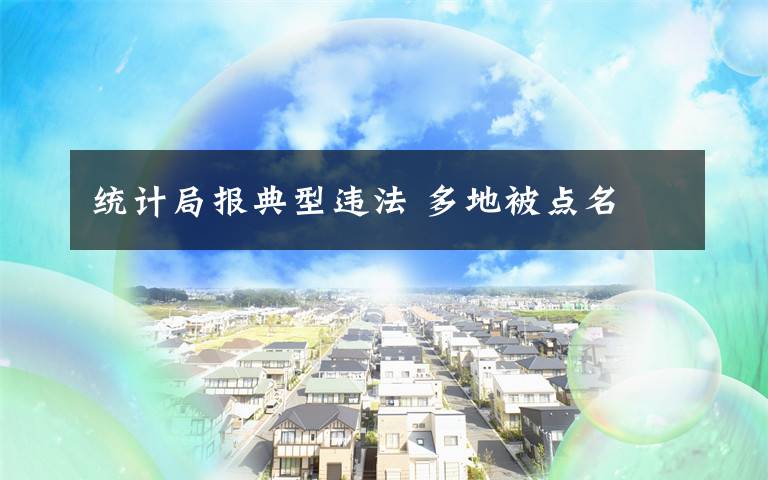 统计局报典型违法 多地被点名