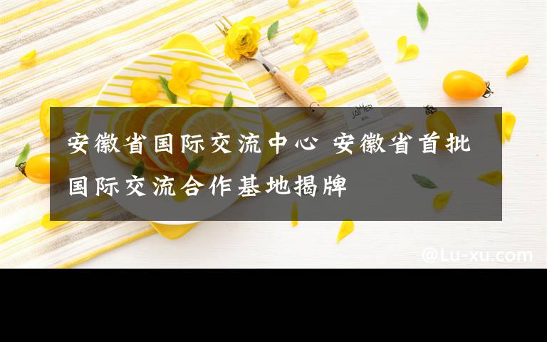 安徽省国际交流中心 安徽省首批国际交流合作基地揭牌