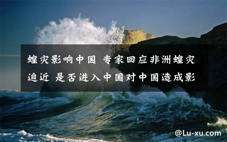 蝗灾影响中国 专家回应非洲蝗灾迫近 是否进入中国对中国造成影响？