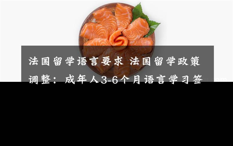 法国留学语言要求 法国留学政策调整：成年人3-6个月语言学习签证要求放宽