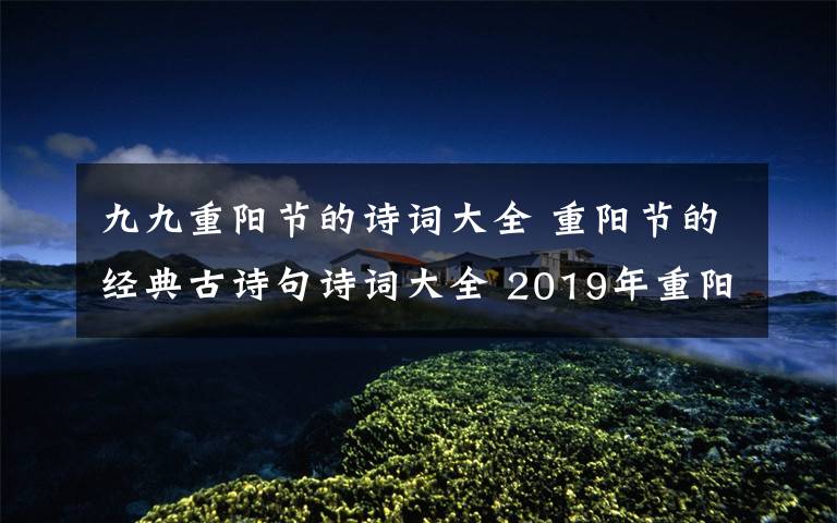 九九重阳节的诗词大全 重阳节的经典古诗句诗词大全 2019年重阳节古诗寄哀思