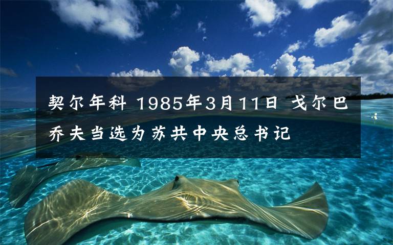 契尔年科 1985年3月11日 戈尔巴乔夫当选为苏共中央总书记