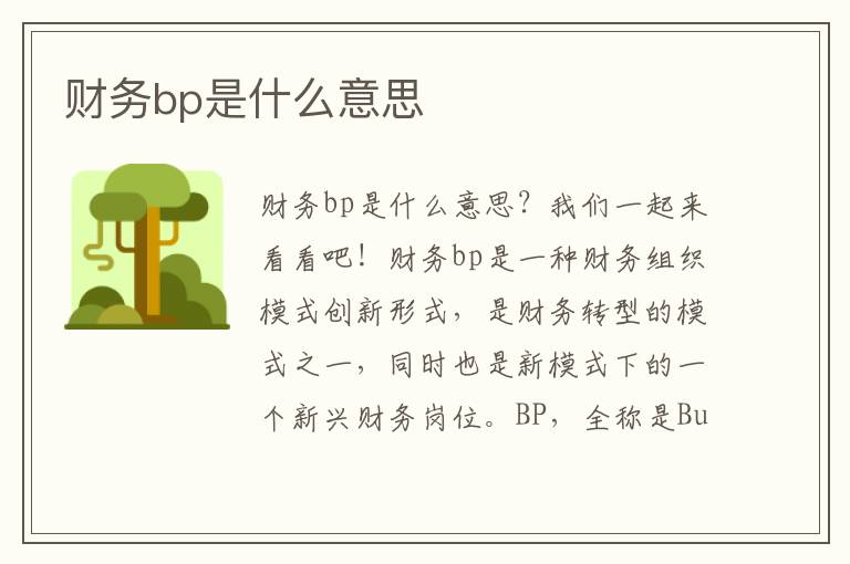 财务bp是什么意思