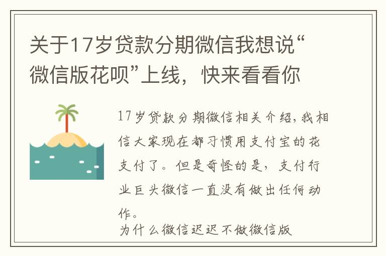 关于17岁贷款分期微信我想说“微信版花呗”上线，快来看看你有没有开通资格