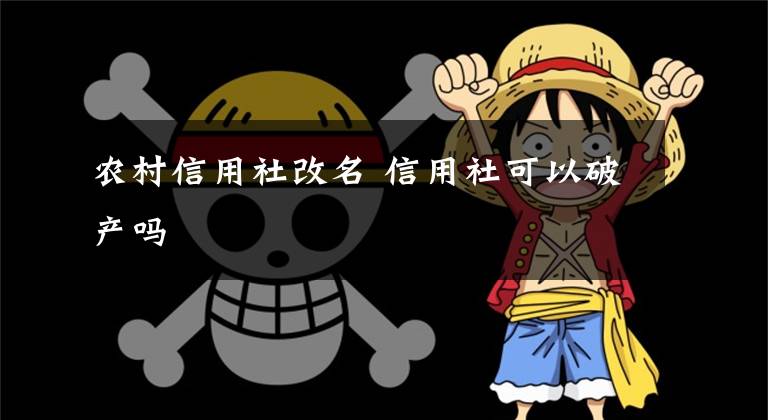 农村信用社改名 信用社可以破产吗