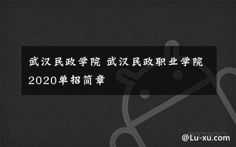 武汉民政学院 武汉民政职业学院2020单招简章