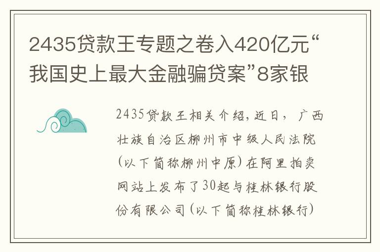 2435贷款王专题之卷入420亿元“我国史上最大金融骗贷案”8家银行超23亿元股权被拍卖