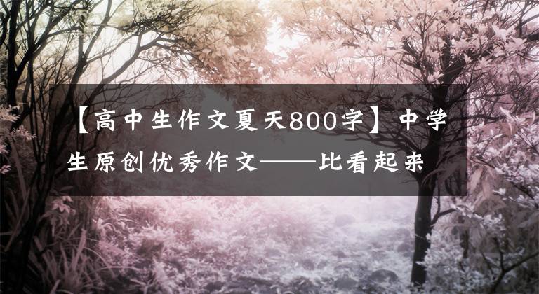 【高中生作文夏天800字】中学生原创优秀作文——比看起来更有趣