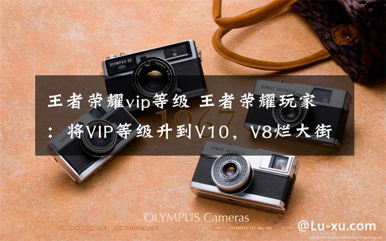 王者荣耀vip等级 王者荣耀玩家：将VIP等级升到V10，V8烂大街了?