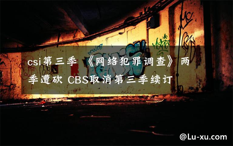 csi第三季 《网络犯罪调查》两季遭砍 CBS取消第三季续订