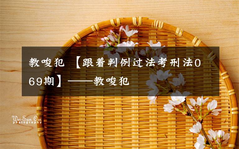 教唆犯 【跟着判例过法考刑法069期】——教唆犯