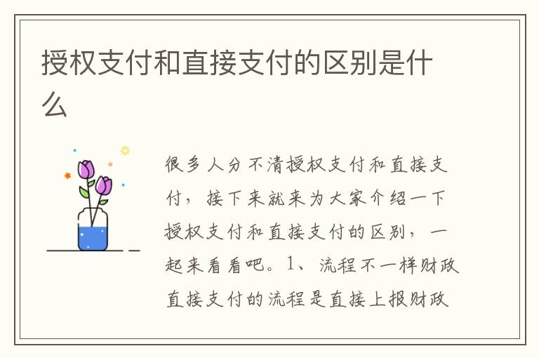 授权支付和直接支付的区别是什么