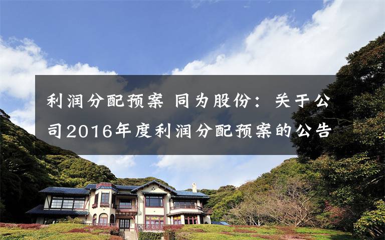 利润分配预案 同为股份：关于公司2016年度利润分配预案的公告