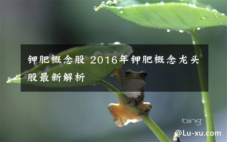 钾肥概念股 2016年钾肥概念龙头股最新解析