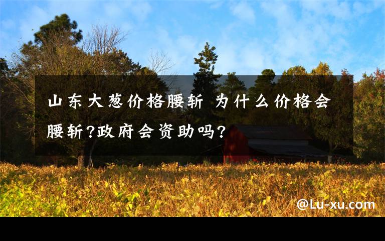 山东大葱价格腰斩 为什么价格会腰斩?政府会资助吗?