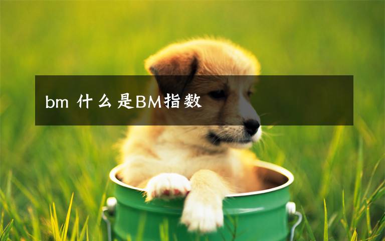 bm 什么是BM指数