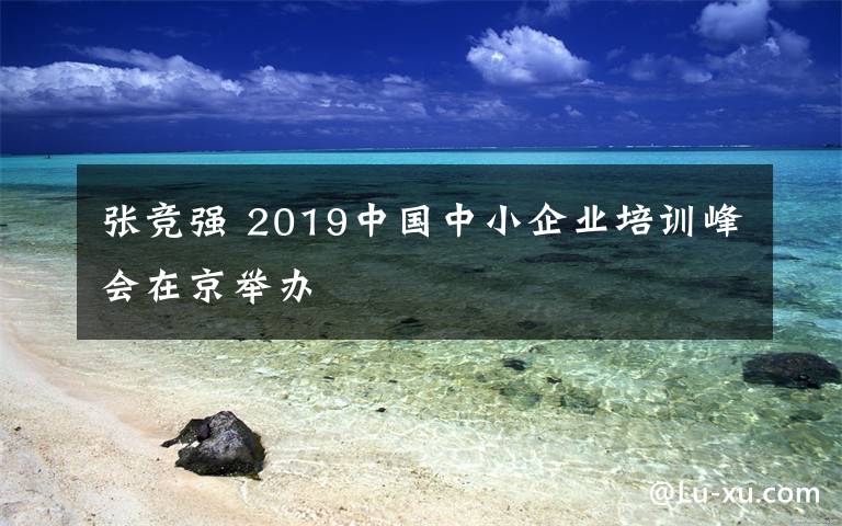 张竞强 2019中国中小企业培训峰会在京举办