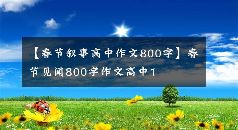 【春节叙事高中作文800字】春节见闻800字作文高中1