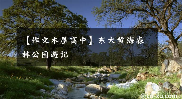 【作文木屋高中】东大黄海森林公园游记
