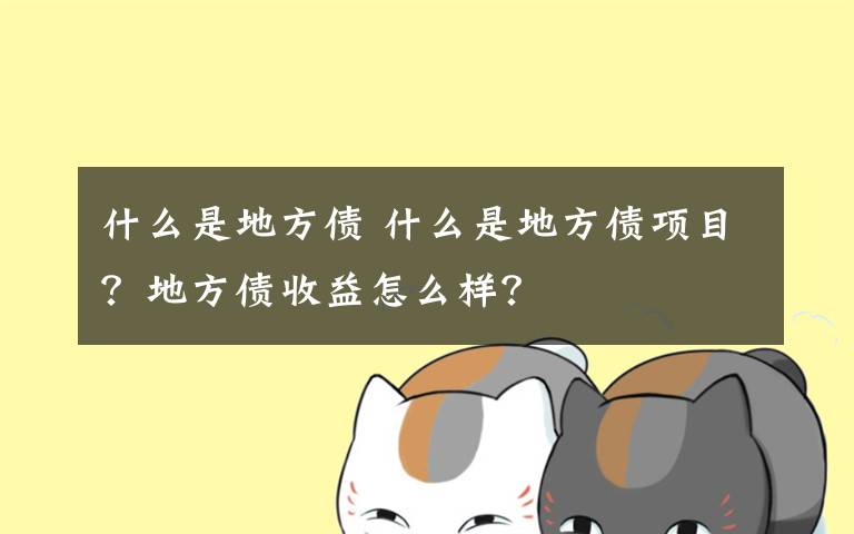 什么是地方债 什么是地方债项目？地方债收益怎么样？文章配图