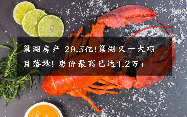 巢湖房产 29.5亿!巢湖又一大项目落地! 房价最高已达1.2万+