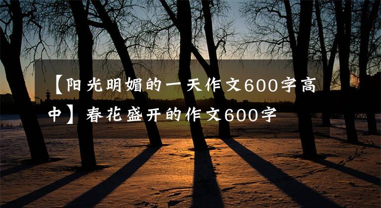 【阳光明媚的一天作文600字高中】春花盛开的作文600字