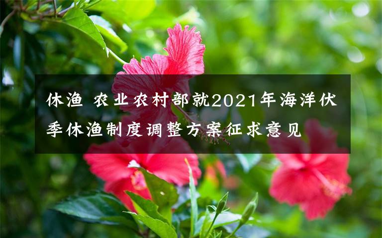 休渔 农业农村部就2021年海洋伏季休渔制度调整方案征求意见