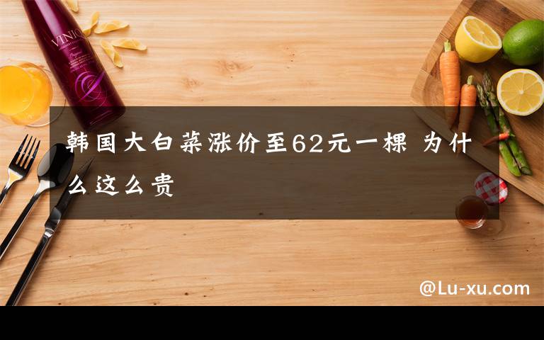 韩国大白菜涨价至62元一棵 为什么这么贵