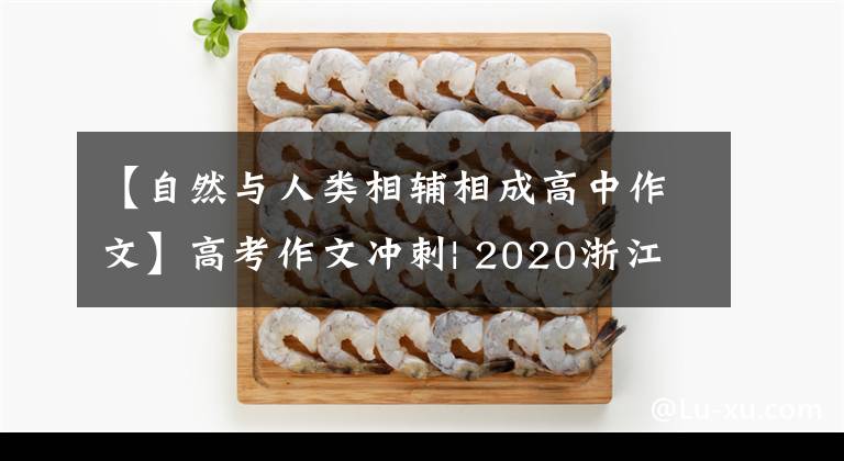 【自然与人类相辅相成高中作文】高考作文冲刺| 2020浙江高考高分作文12篇