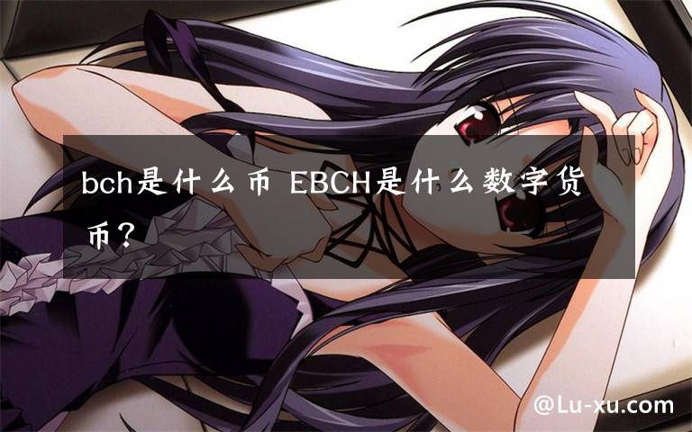 bch是什么币 EBCH是什么数字货币？文章配图