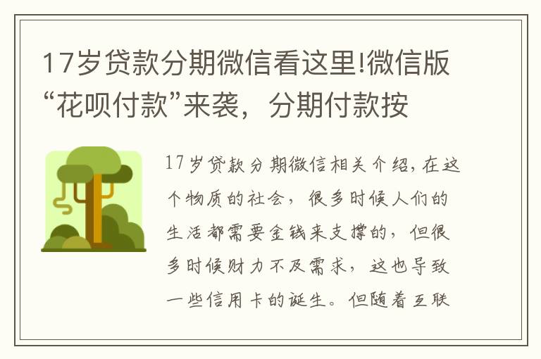 17岁贷款分期微信看这里!微信版“花呗付款”来袭，分期付款按天计息，11亿用户的福音！