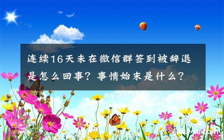 连续16天未在微信群签到被辞退是怎么回事？事情始末是什么？公司是否涉嫌违法？