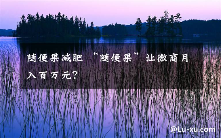 随便果减肥 “随便果”让微商月入百万元？