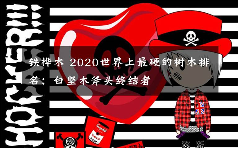 铁桦木 2020世界上最硬的树木排名：白坚木斧头终结者